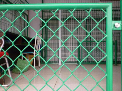 �F�z�����W