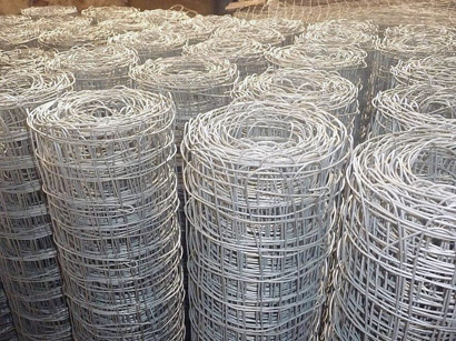 �F�z�����W