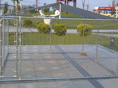 �����W�o��